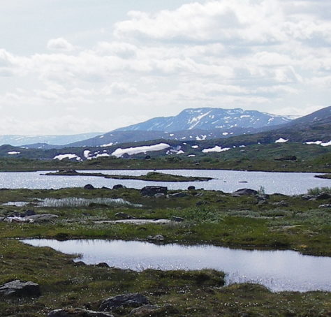 Fjellandskap med vann