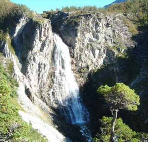 Foss med liten furu foran