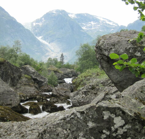 Elvenatur med eit fjell i bakgrunnen