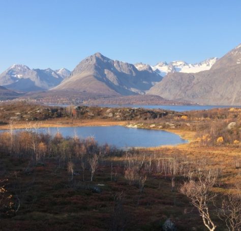 Utsikt fra Årøya over Sommarsetvatnet mot Koppangen