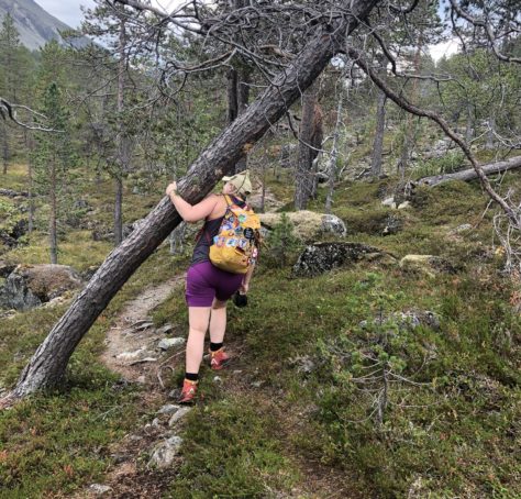 På tur i Faueldalen naturreservat