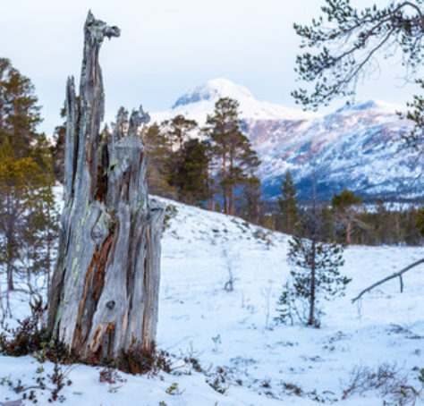 Gadd i Dypen, Solvågtinden bak