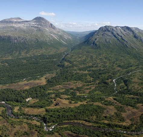 Skogområde og høyfjell