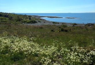 Rauer naturreservat